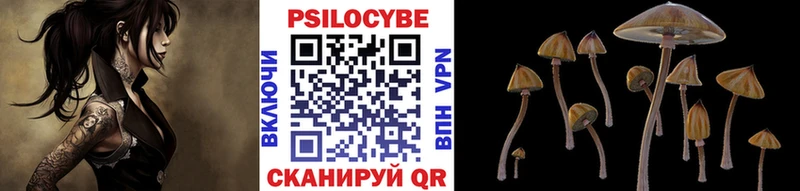 где продают наркотики  Старая Русса  Галлюциногенные грибы прущие грибы 